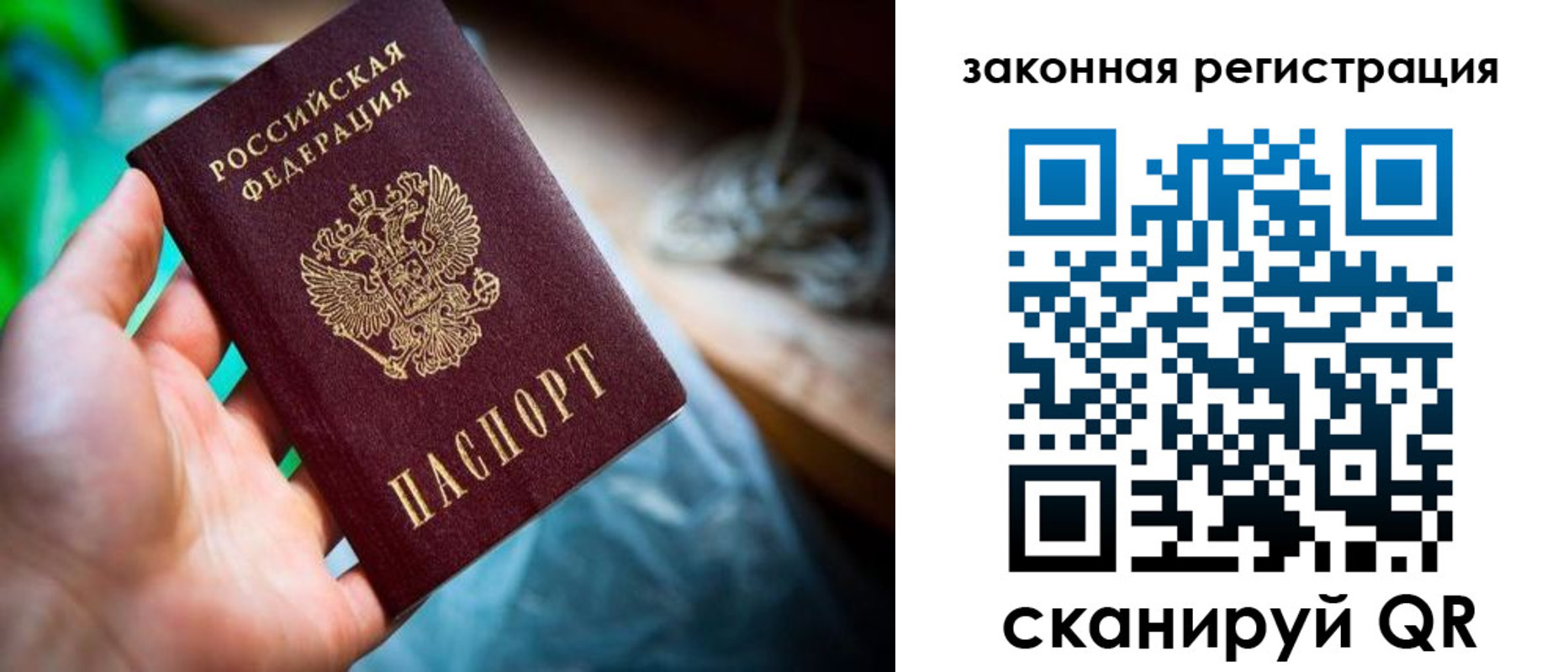 прописка в Благодарном